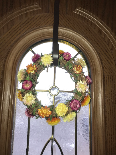 A pack of Assorted Strawflowers (dried) ready for use crafting