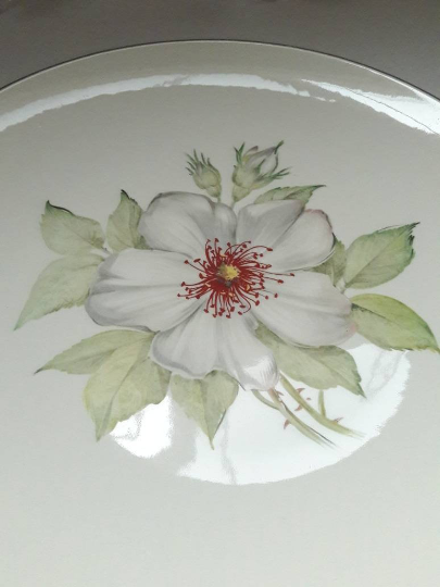 Vintage Edwin Knowles Damask Rose X-4024 White Rose Silver/Platinum Trim Plates