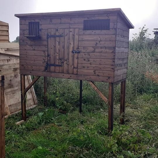 Pigeon Loft for sale in UK 66 secondhand Pigeon Lofts