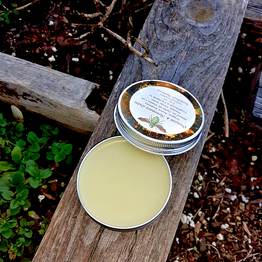 Oregano & Rosemary Salve, Arnica, Muscle Pain, Balm, Bruising, 1oz, 2oz