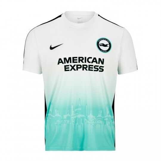値下げ可能　Brighton & Hove Albion シャツ MARCH 7 BHAFC 2002 Home Skint Shirt