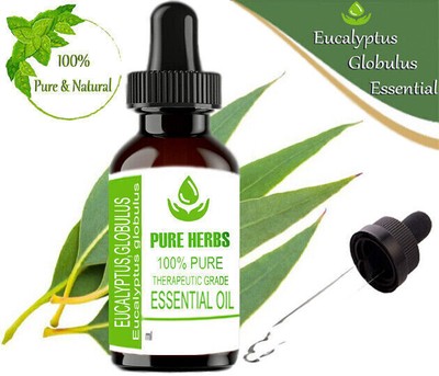 Pure Herbs Eucalyptus Globulus 100% Pure & Natural Essential Oil