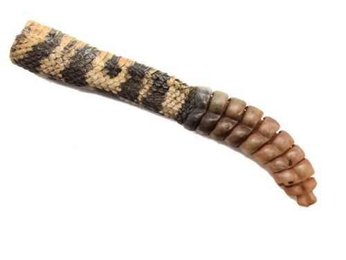 Rattlesnake Diamondback Keychain - Sonoran Desert Pewter Animal Jewelry For Nature Lovers