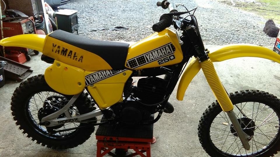 Manual