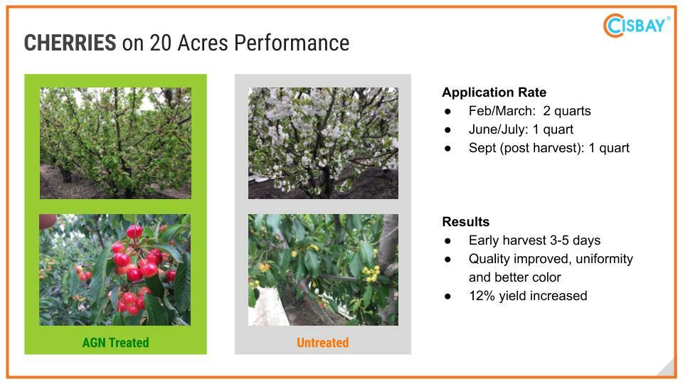 CISBAY AGN LTE Soil Microbe - Enhance nutrient for short root plant (1 gallon) 