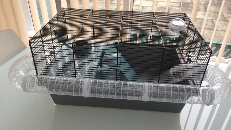 hamster cage suitable for two dwarf hamsters or one regular sized