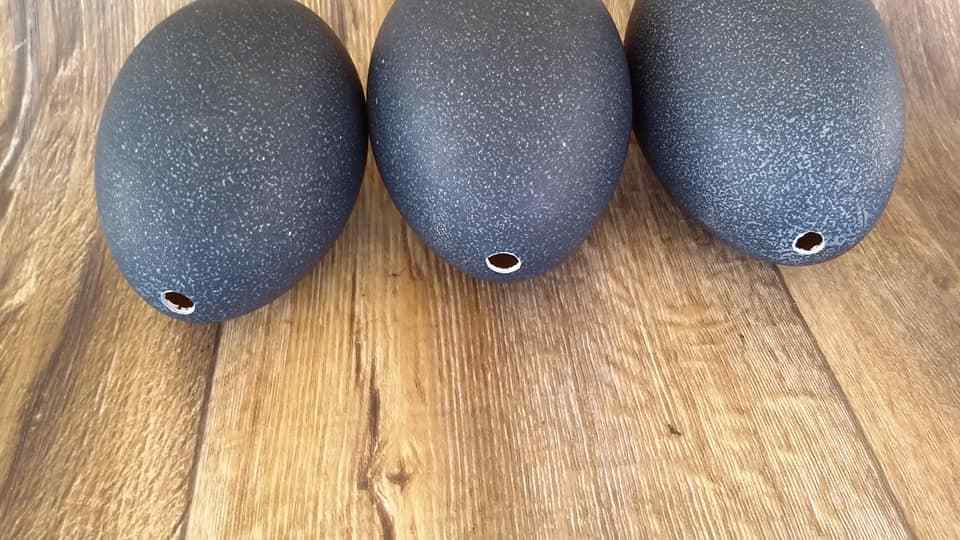 4 EMPTY (Blown) Emu Egg Shell for Crafts BIG HOLLOW CARVING/PAINTING 3 LAYERS