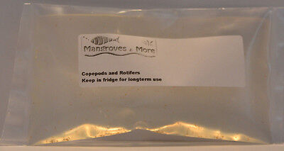 Copepods and Rotifers 200ml Live Marine & Coral Food