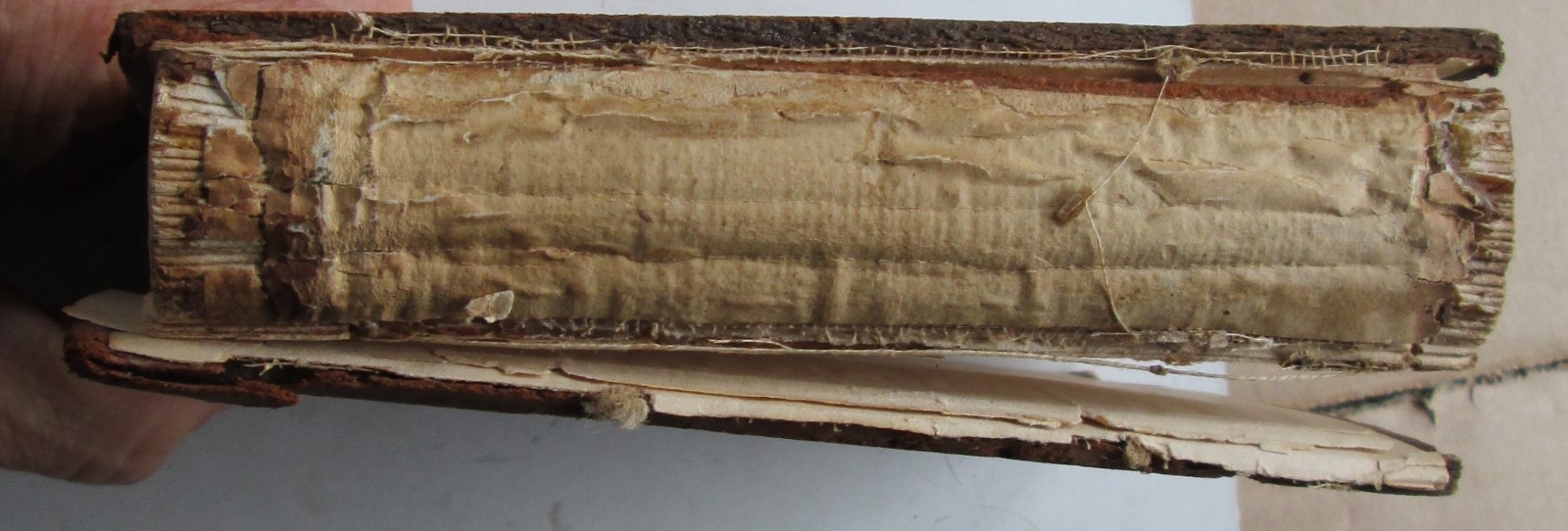 Mining Rights in the Western States and Territories - r s morrison 1895