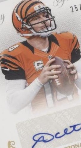 2013 Panini National Treasures Andy Dalton #19