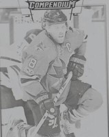 2017-18 Upper Deck Compendium - Joe Pavelski #208
