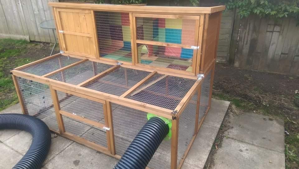 Huge rabbit hutch, run and tunnels in Houghton Le Spring, Tyne and