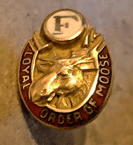 Vintage 10K Gold LOYAL ORDER OF MOOSE Fellowship Pin: Unique Screw Back Design