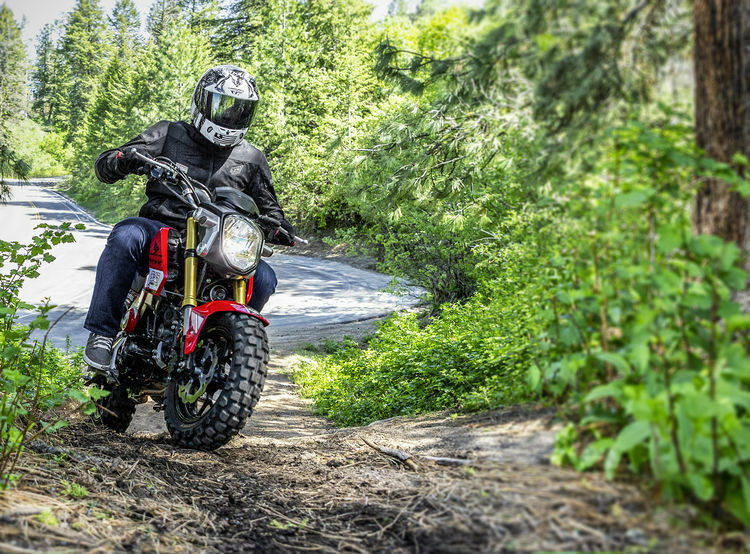 Shinko 120/70-12 & 130/70-12 Mobber Dual Sport Off Road Tire Set Honda Grom 125