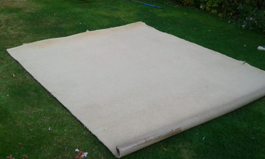 80/20 wool Carpet in Dundee Gumtree