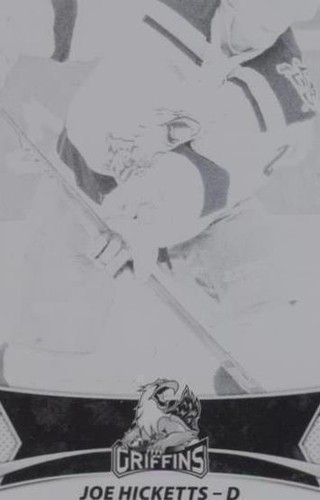 2016-17 Upper Deck AHL - Joe Hicketts #136