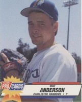 1993 Fleer ProCards Minor League - Mike Anderson #1900