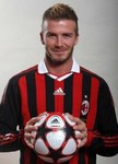 alessandro.reginato