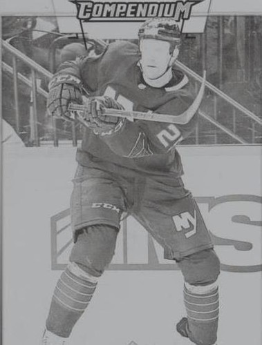 2017-18 Upper Deck Compendium - Jason Chimera #165