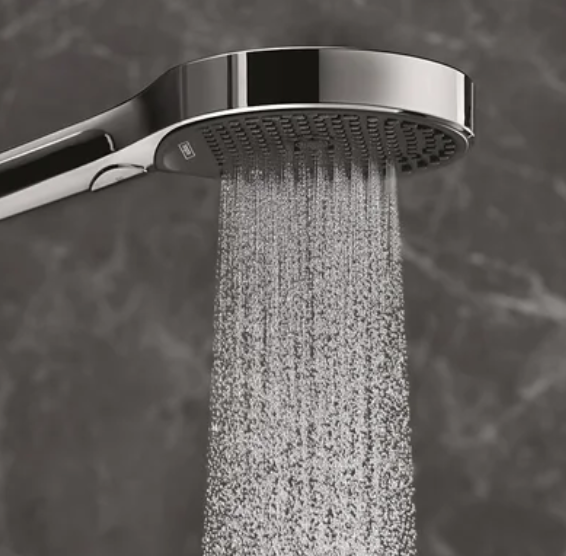Hansgrohe Handheld Shower Head Showerhead