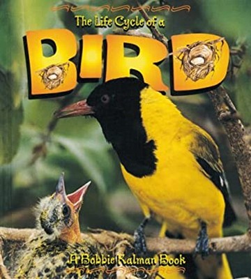 The Life Cycle of a Bird Library Binding Bobbie, Smithyman, Kathr