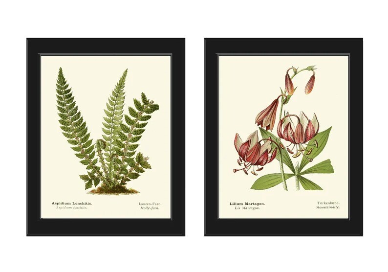 Green Fern Wild Lily Botanical Prints Wall Art Set of 2 Beautiful Unframed