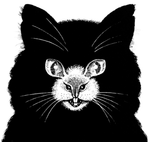 andymouse0144