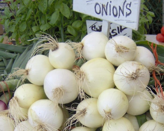 Brussel Sprouts, Long Island Improved  100 - 125  NON - GMO Seeds Heirloom