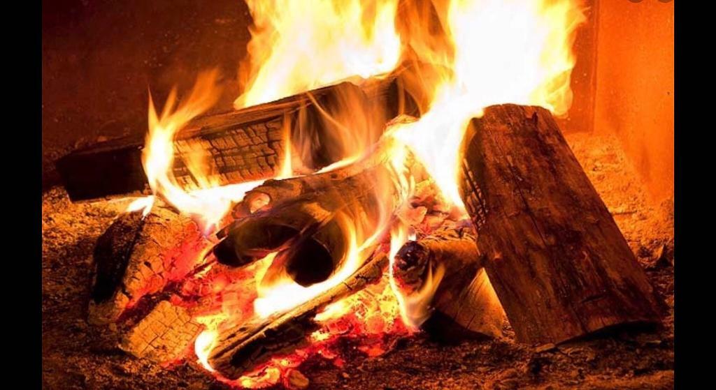 Firewood. Seasoned hardwood logs. Open fire. Stoves. Wood burner. in