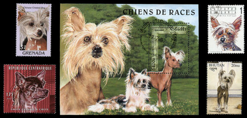 CHINESE CRESTED POWDER PUFF DOG POSTAGE STAMP COLLECTION of 4 + MINI SHEET