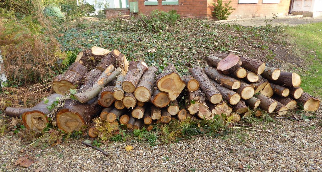 Assorted Wood Yew / Cherry / Lawson Cypress Logs 3 x 1m lengths for