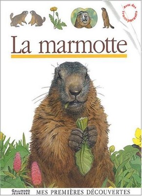 LA MARMOTTE (MES PREMIERES DECOUVERTES)