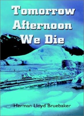 Tomorrow Afternoon We Die by Bruebaker  New 9780759688285 Fast Free Shipping-,