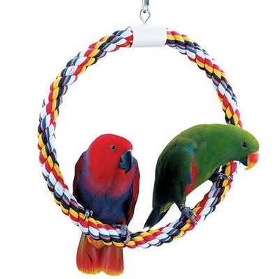 Parrot Bird Perch Booda Comfy Swing and Perch Toy Large