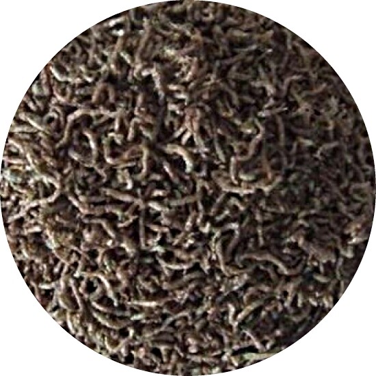 Rote Mückenlarven FD Futter Fischfutter Naturfutter getrocknetes Futter 250 ml