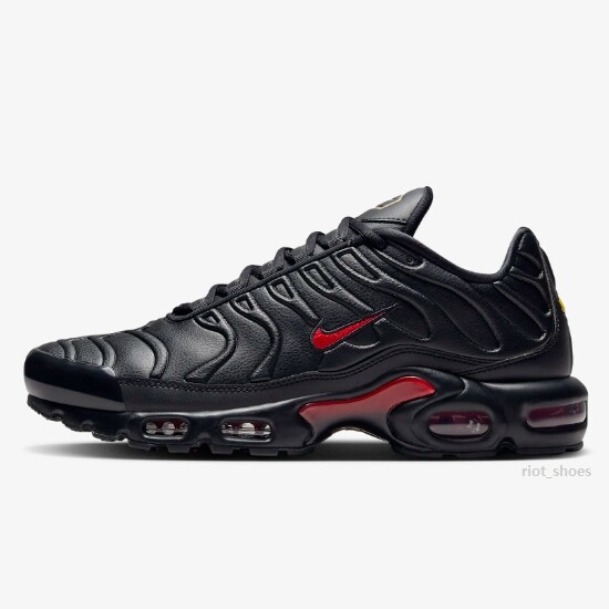 Кроссовки Nike Air Max Plus PRM Bred (FZ3038-001) для ускоренной посадки