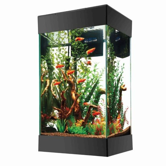 AQUEON AQUARIUM STARTER KIT WITH LED LIGHTING - 15 GALLON COLUMN