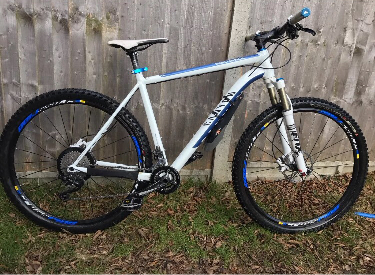 aceshin electric bike