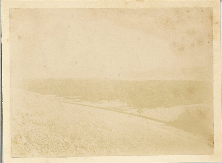 AlgÃ©Rie, Metlili, Oasis Vintage Print. Tirage Citrate  7x10  Circa 1900 