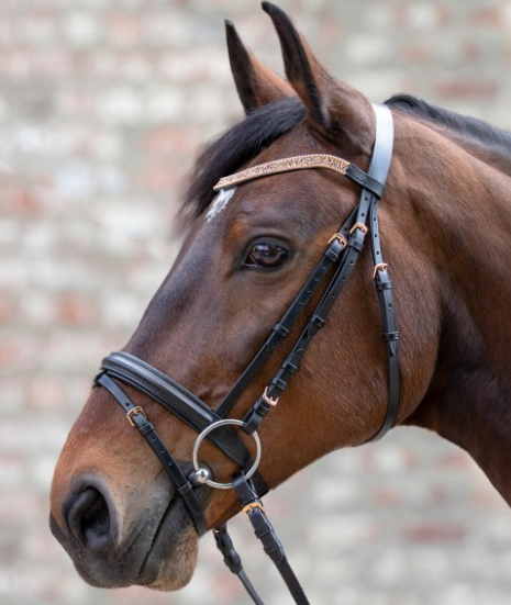 f/ür Holzpferde Funny Horses HKM Gebisslose Trense