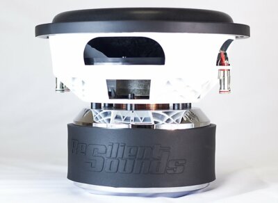 Resilient Sounds  Platinum-12 2000 RMS Woofer Sub Woofer DUAL 1 OHM 