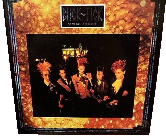 LP (最終値下げ) BUCK-TICK / Sexual XXXXX! BUCK-TICK SEXUAL XXXXX! 12