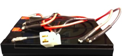 Razor E300 Versions 20+ Wiring Harness Only