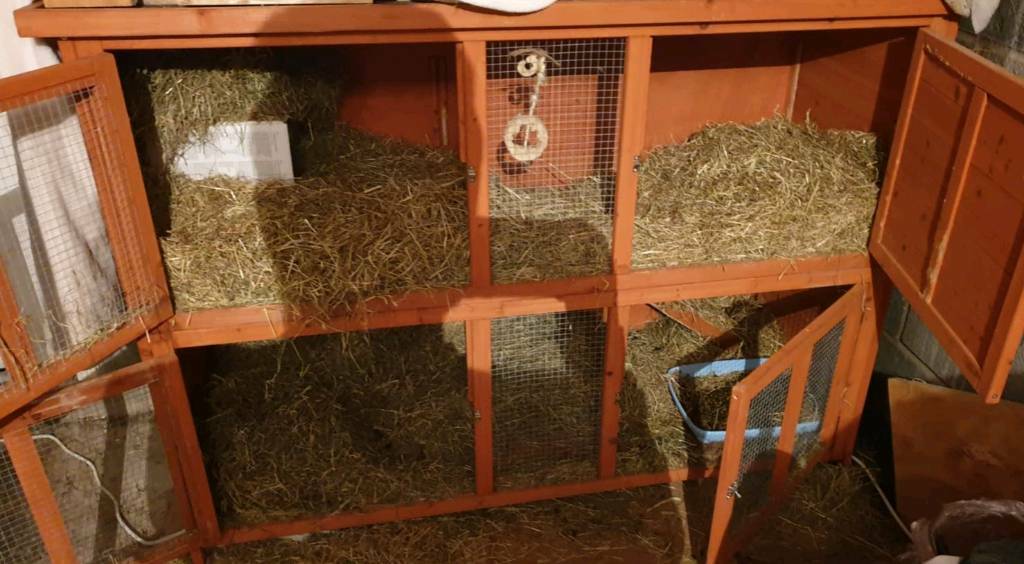 Extra Large Wooden Rabbit Hutch in Netherfield, Nottinghamshire Gumtree