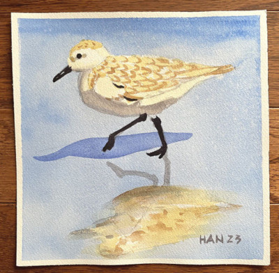 Sandpiper 21, Bird, Nautical, Beach, Original Watercolor Painting, Art, 8x8 inch