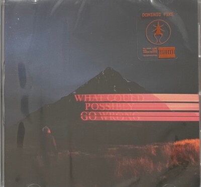 What Could Possibly Go Wrong by Dominic Fike (CD, 2020) Hip Hop Rock Pop Indie