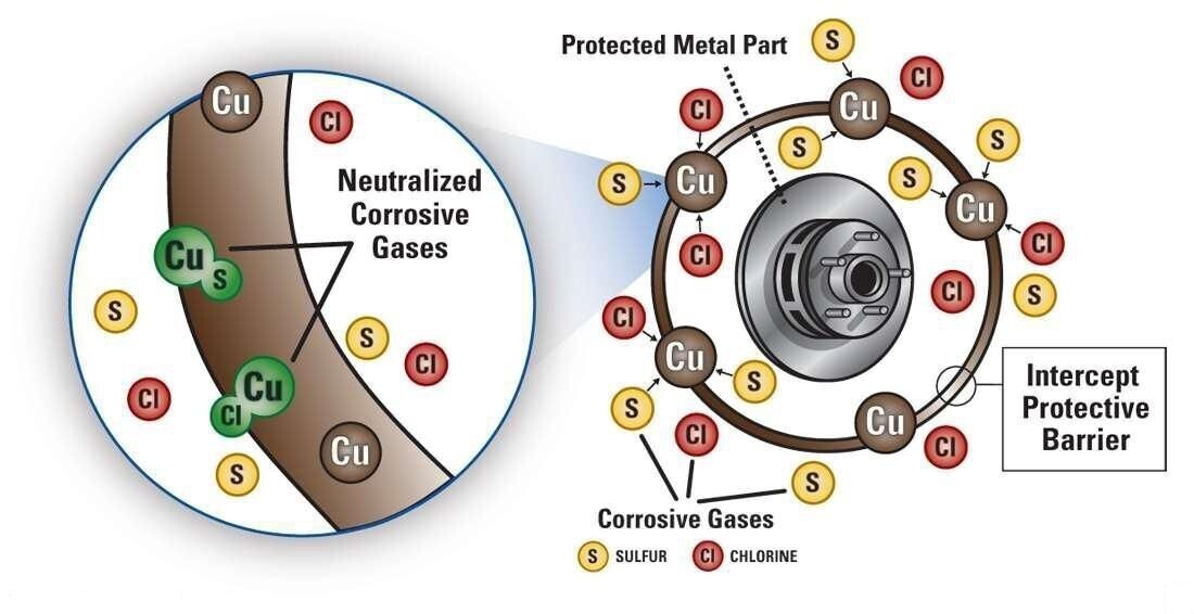 10 Lighthouse Intercept Shield Double Protection Coin Slab Boxes 100 Slab Cases