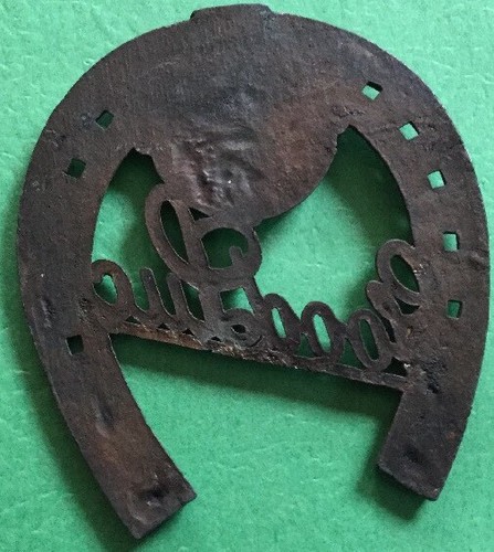 Souvenir Horseshoe  Army & Navy Hospital Hot Springs Arkansas Mint Rare