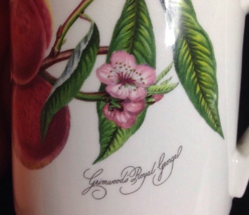 Portmeirion POMONA Grimwoods Royal George Mug England The Goddess of Fruit RARE