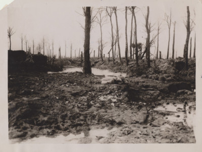 REPRINT OF ORIGINAL WWI PHOTO OF SHRAPNEL BURSTING IN THE WOODS
